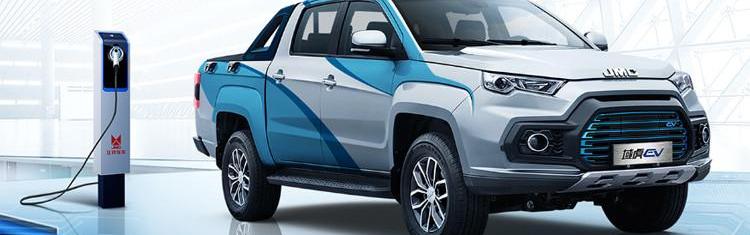 Domain Tiger EV, Jiangling, Tesla, Great Wall, Gun