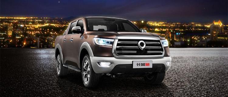 Domain Tiger EV, Jiangling, Tesla, Great Wall, Gun