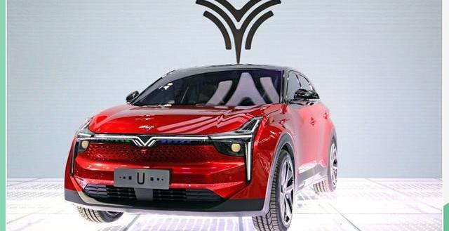 BMW, Tesla, Nezha U, Toyota, Hechuang