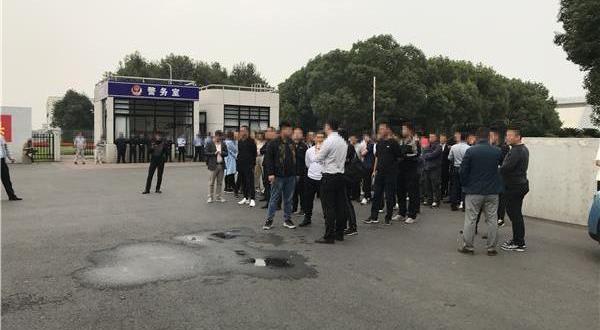 Tesla, Zotye, Volvo, Bora, Golf