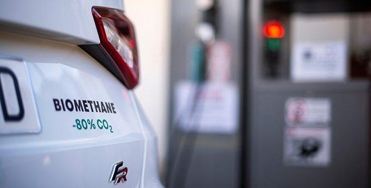 Volkswagen, Nissan, Iveco