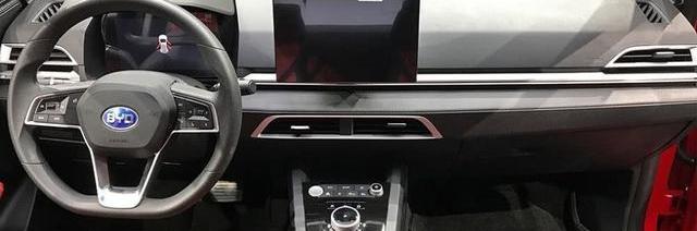 BYD, BYD e2, Man, Tesla