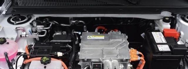 BYD, BYD e2, Man, Tesla