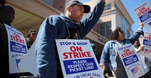 BMW, Mercedes-Benz, Volkswagen, Tesla, Han