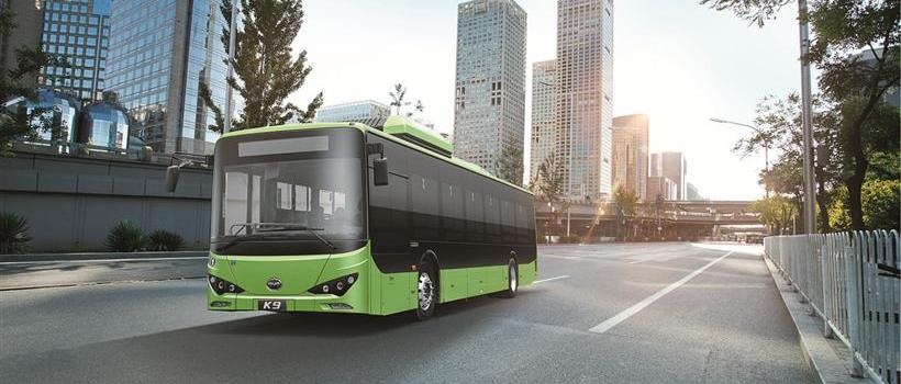 比亞迪,江淮,寶馬,奇瑞,眾泰