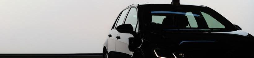 Volkswagen, Hyundai, Tesla, Kia, Ford