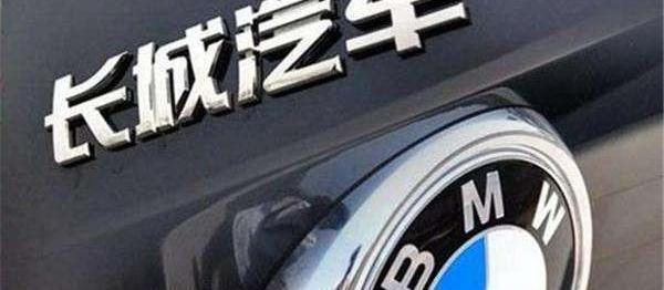 BMW, Great Wall, MINI, Euler, Haval