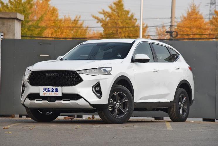 Great Wall, Harvard, Man