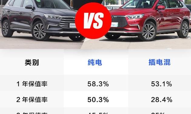 BYD, BMW, Roewe, Tesla, Model S