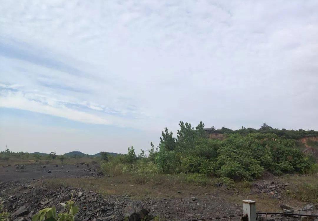 Han, Beijing, discovery, ff 91, Faraday future