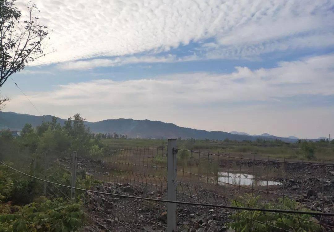 Han, Beijing, discovery, ff 91, Faraday future