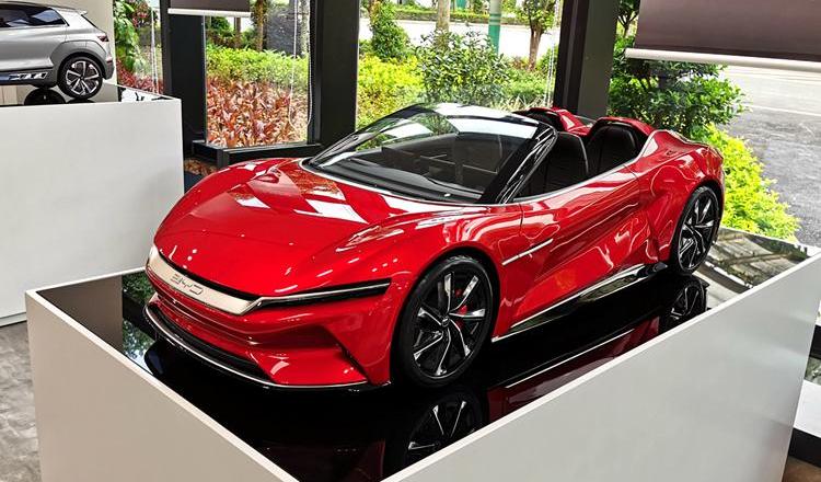 BYD, Discovery, BMW, Weilai, Hyundai