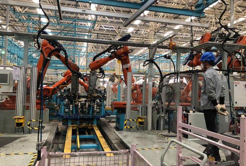 hippocampus, hippocampus 8S, idea, Beijing, warrior