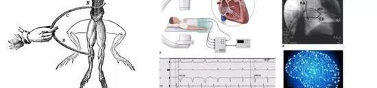 Discovery, Century, Tesla, Hyundai