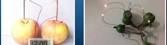 Discovery, Century, Tesla, Hyundai