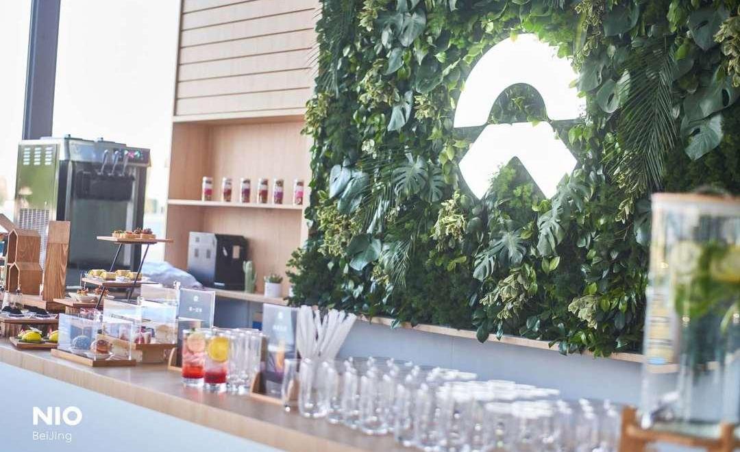 Weilai, BYD, Jianghuai, Beijing, Ford