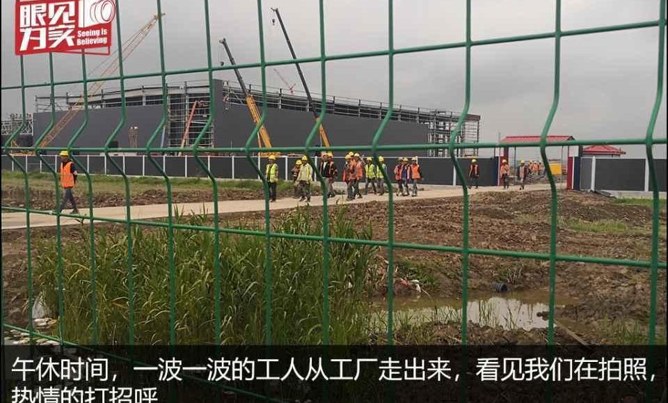 Tesla, Model 3,Model Y, Mercedes-Benz, Volkswagen