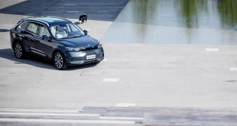 Tesla, Weilai, Remote, BYD, Mini