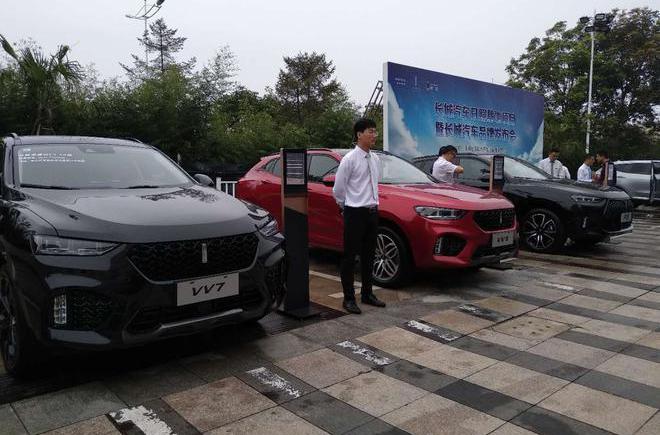 Great Wall, Euler, Idea