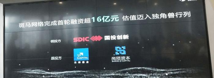 zebra, roewe, changan, Ford, Dongfeng