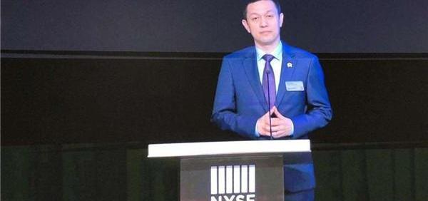 Weilai, Tesla, DS, Beijing, Sequoia