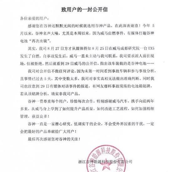 Weimar automobile, Weimar EX5, Volkswagen