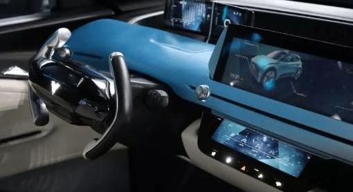 寶馬,保時捷,大眾,發現,斑馬