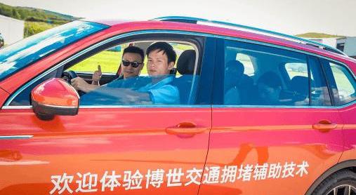 Mercedes-Benz, Zebra, Great Wall, Borui, concept