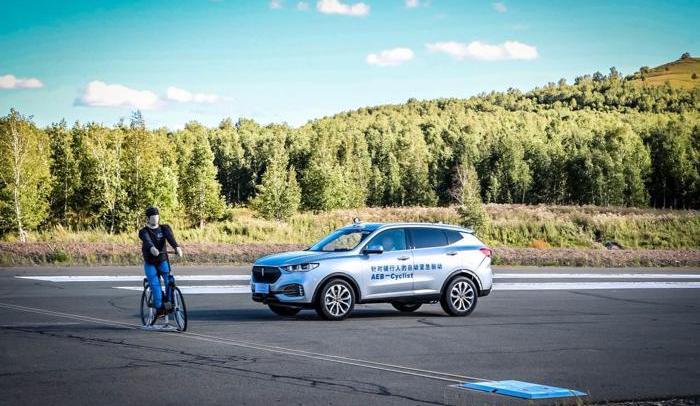 Mercedes-Benz, Zebra, Great Wall, Borui, concept