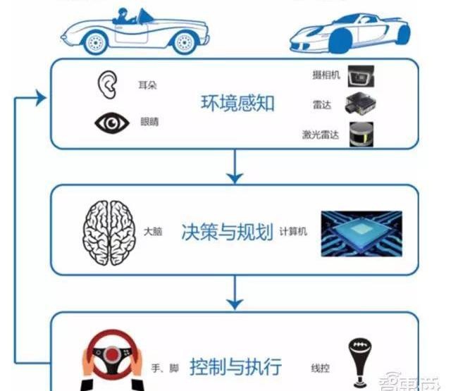 Century, Beijing, Hongqi, Tesla, Han