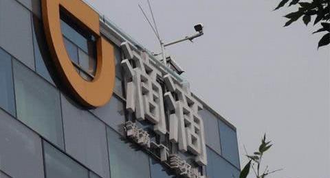 whale, Beijing, found