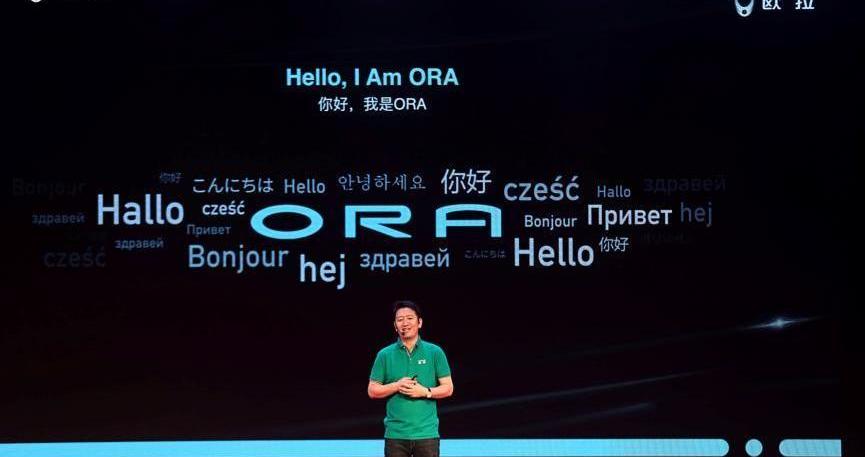 Tesla, Weilai, Great Wall, Euler, BMW