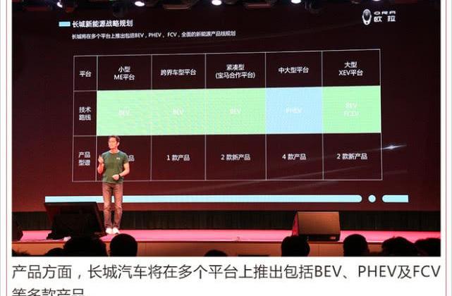 Euler, Great Wall, BMW, Beijing, Haval