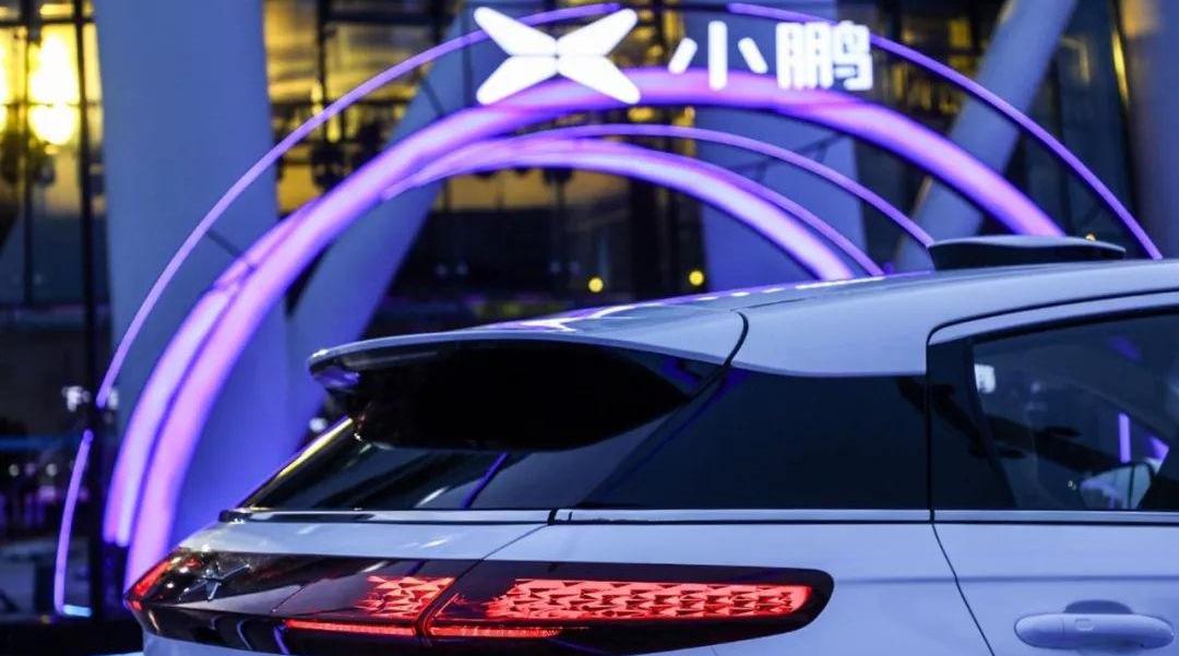 Tucki, Weilai, Morgan, Tucki G3