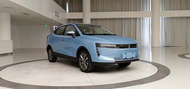 Great Wall, Euler, BMW, Haval