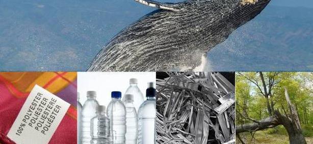 Jaguar, BMW, Land Rover, Whale, BMW i3