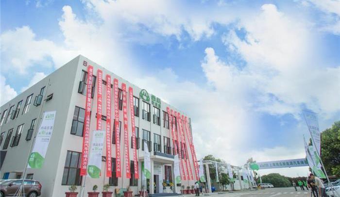 BYD, JAC, Chery, Weilai