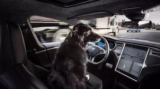 Audi, Audi A8, Ford, Volvo, Changan