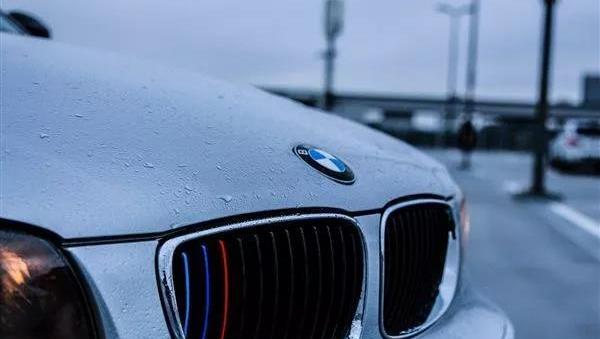 BMW, BYD, Dongfeng, Chang 'an, Man