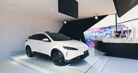 Tucki, discovery, future