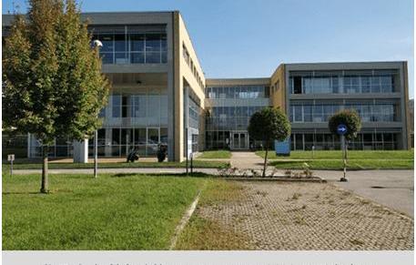 Mercedes-Benz, BMW, Volkswagen, Toyota and Veyron