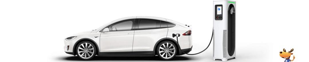 Tucki, Beijing, Tesla, Weilai