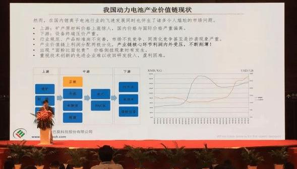 BYD, BMW, Mercedes-Benz, Volkswagen, Toyota