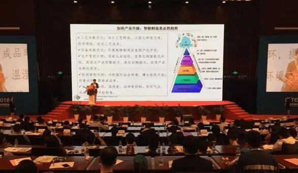 BYD, BMW, Mercedes-Benz, Volkswagen, Toyota