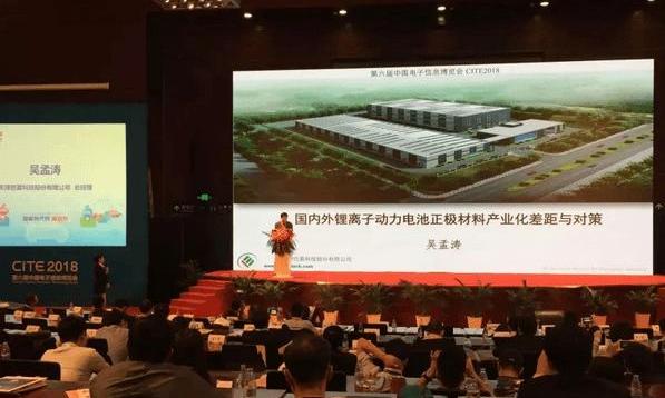 BYD, BMW, Mercedes-Benz, Volkswagen, Toyota