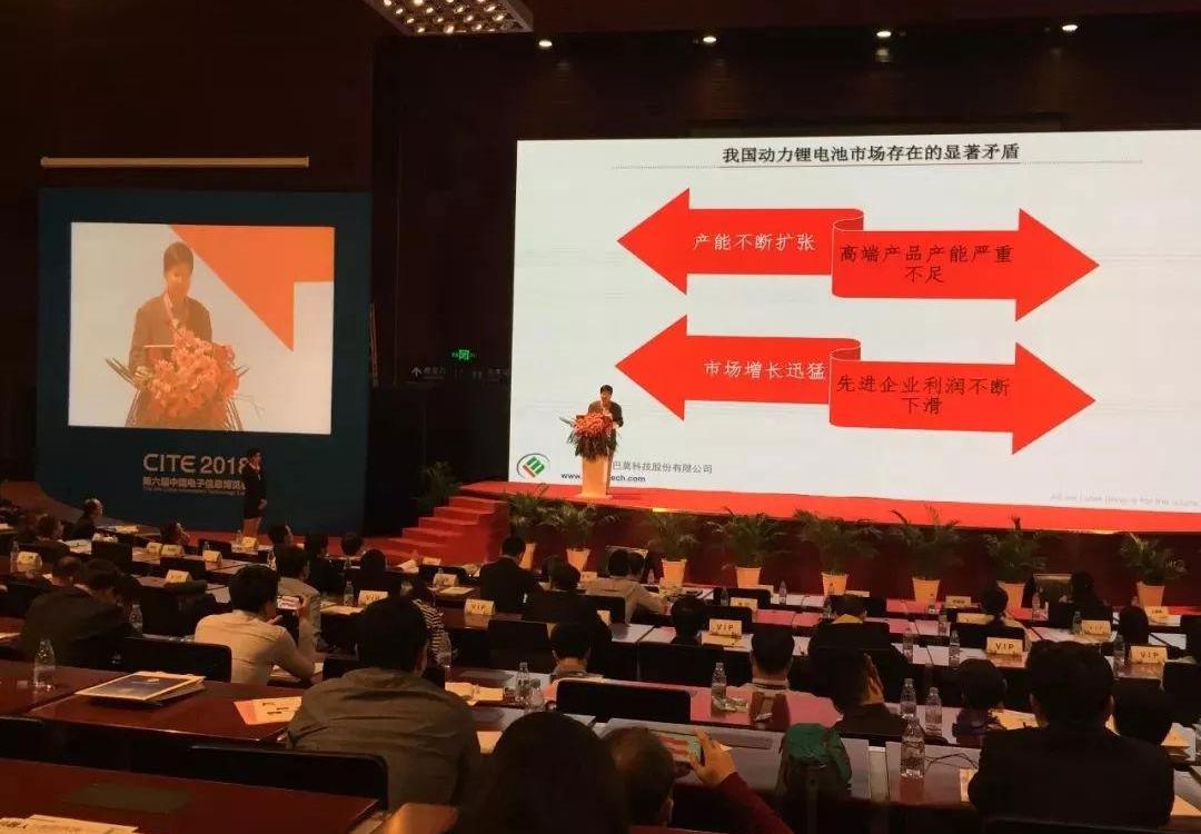 BYD, BMW, Mercedes-Benz, Volkswagen, Toyota