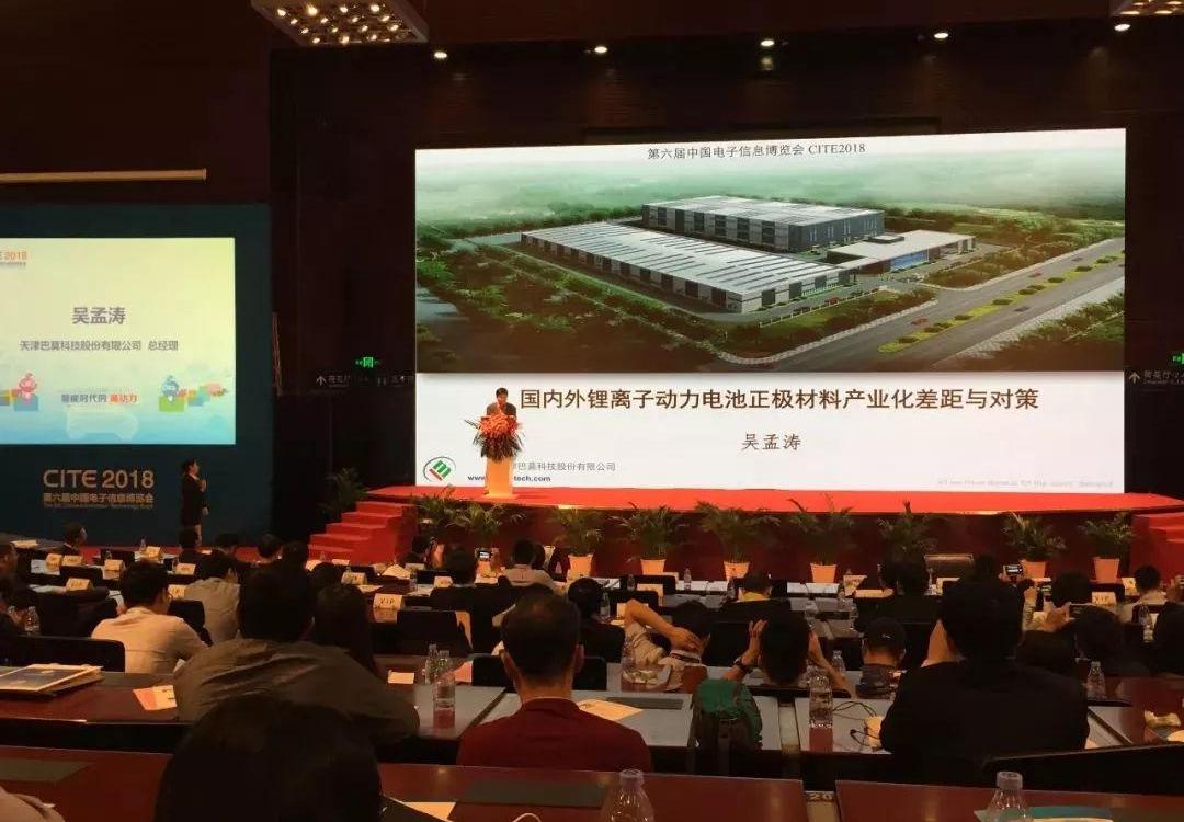 BYD, BMW, Mercedes-Benz, Volkswagen, Toyota