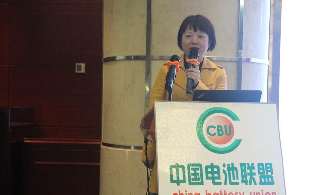 Beijing, Camel, BYD, Dongfeng and Geely Automobile