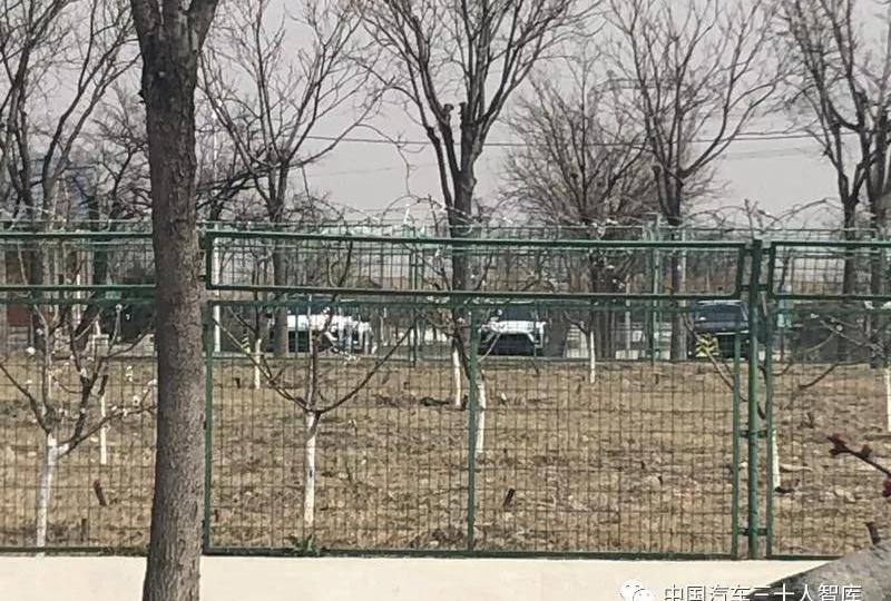 Beijing, Weilai, Futian and Jinlong, discovered