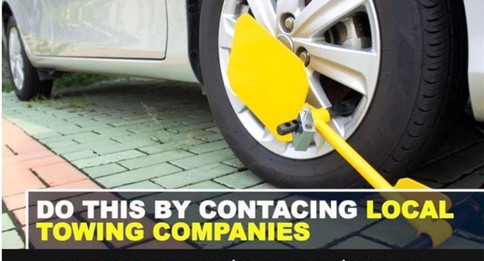 Man, Audi, Audi A3,Giulia, Honda